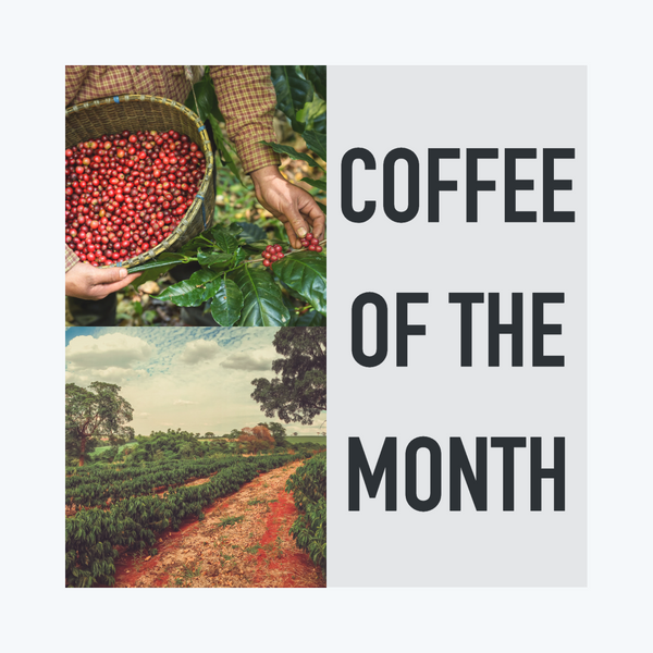 Coffee of the Month Subscription